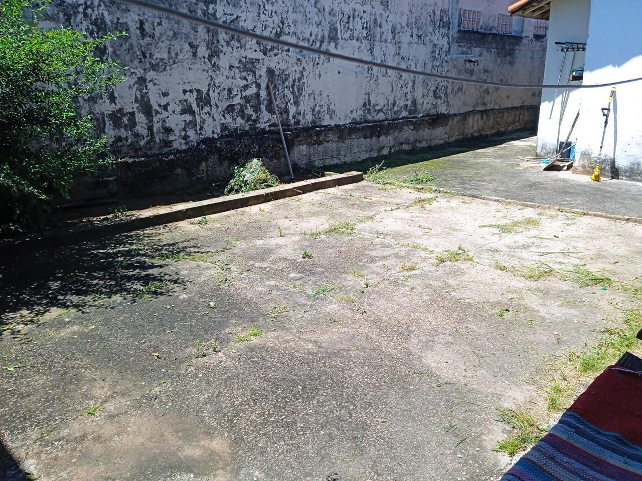 Etapa de retirada de vegetação no quintal.